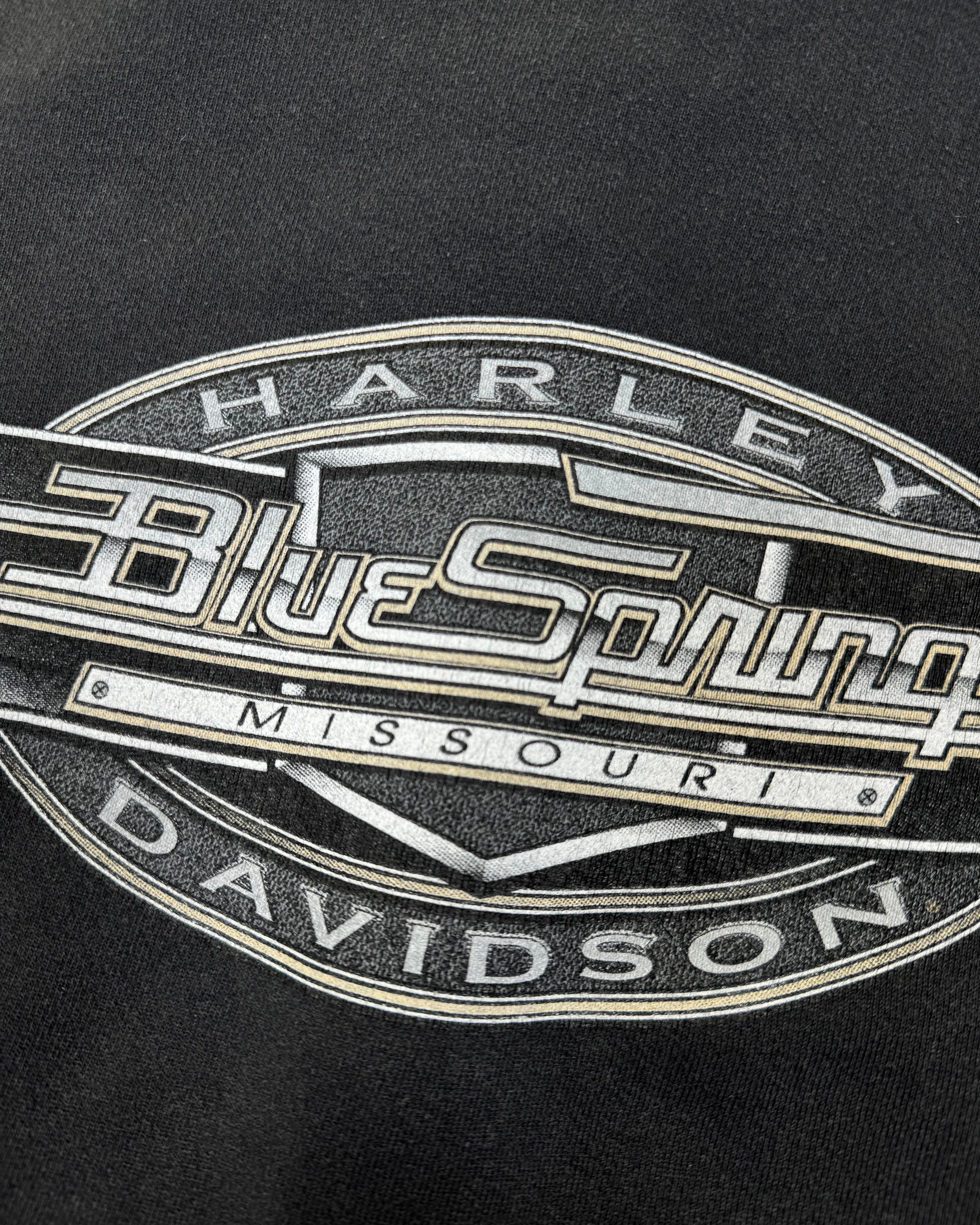 00s Skull Harley Davidson (M)