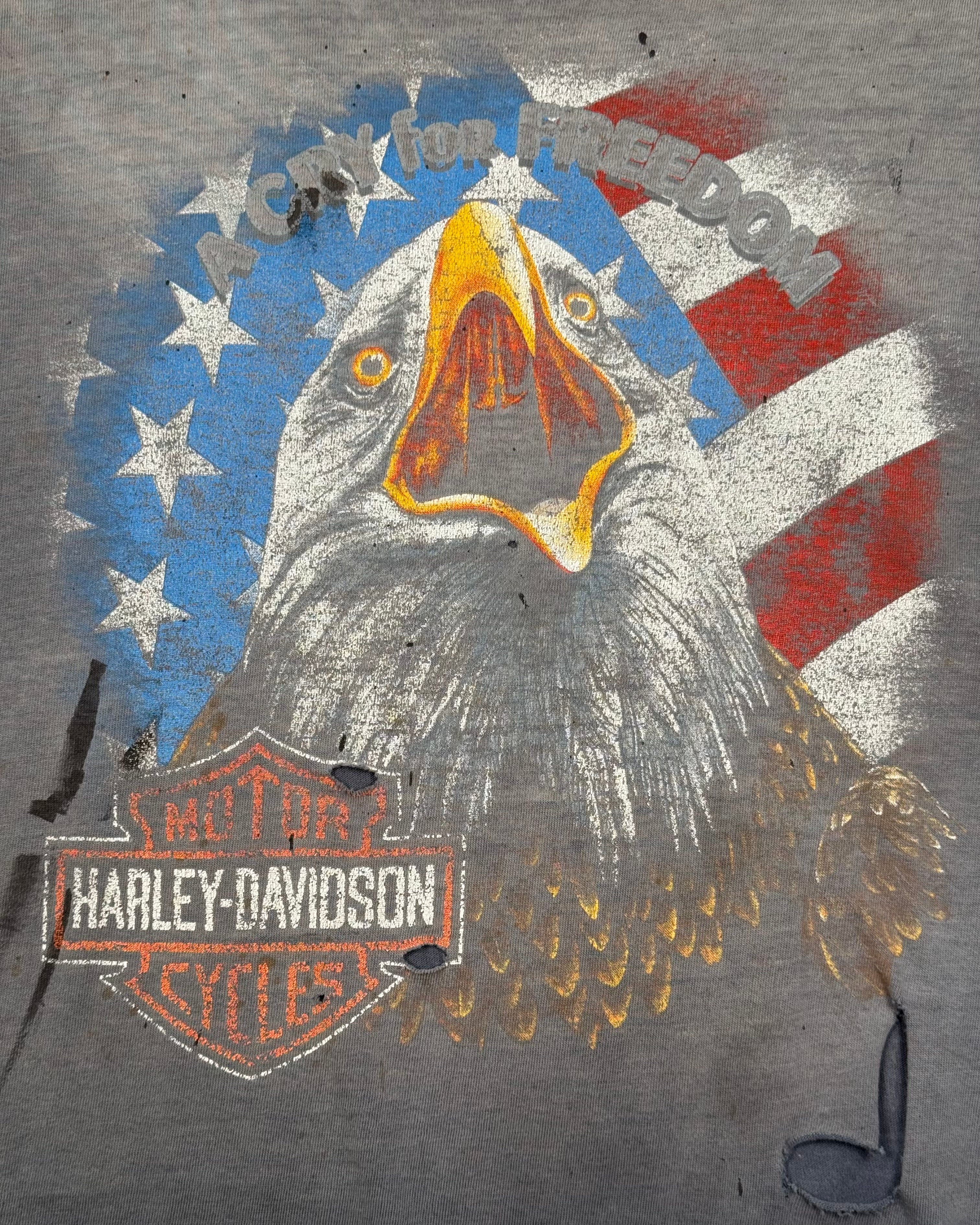 90s Faded Harley Davidson (XL)