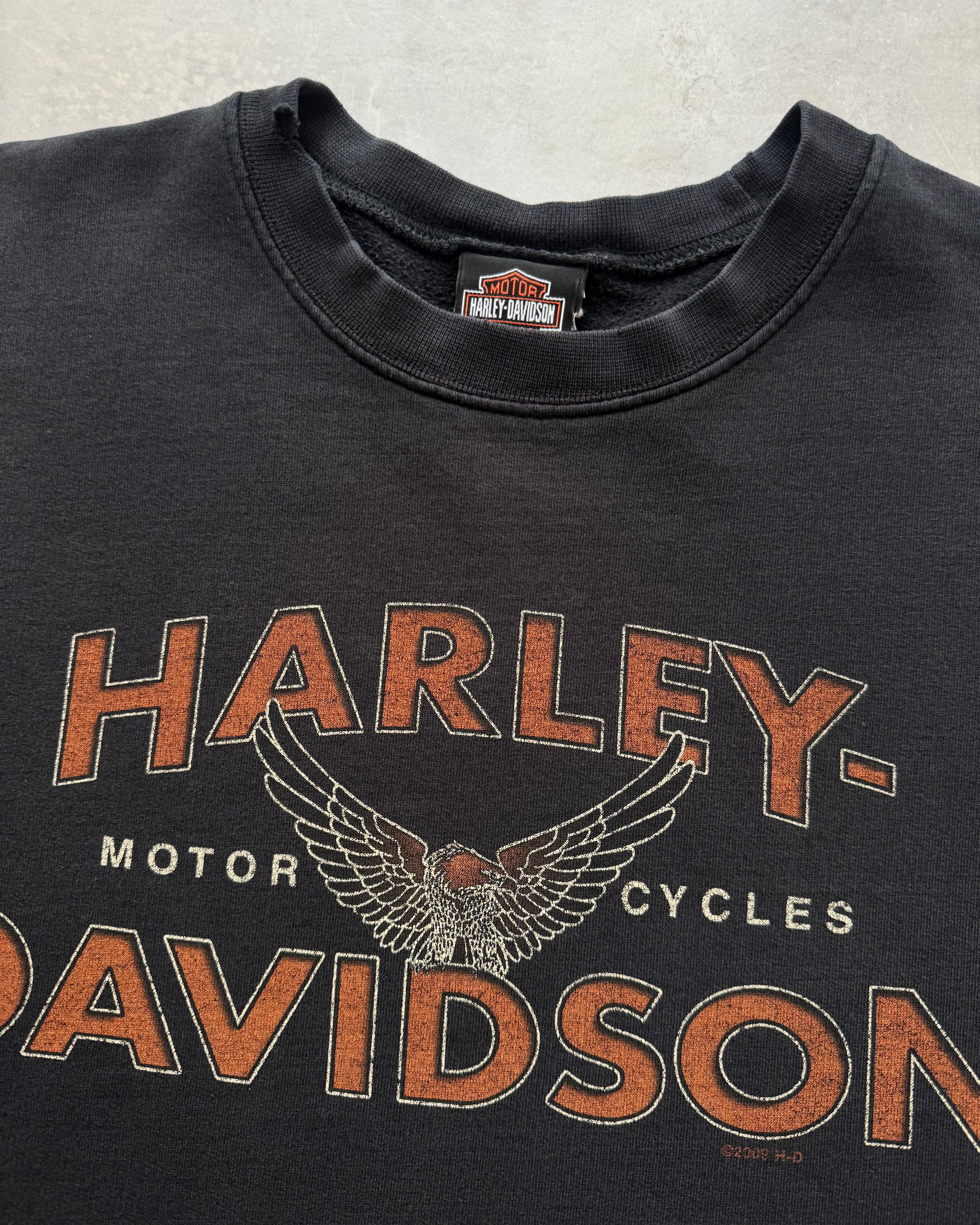 ‘09 Harley Davidson (XL)