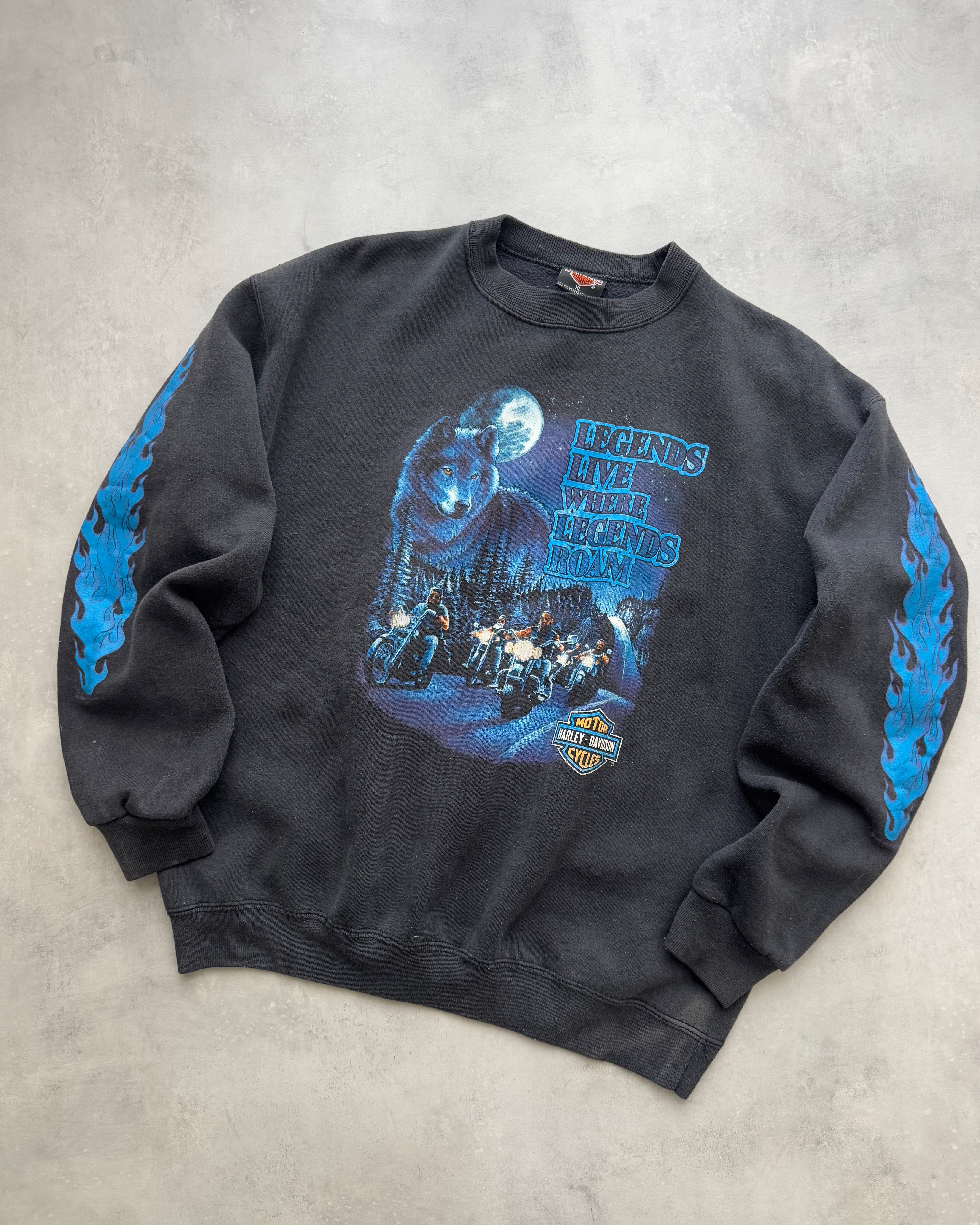 90s Harley Davidson (XL)