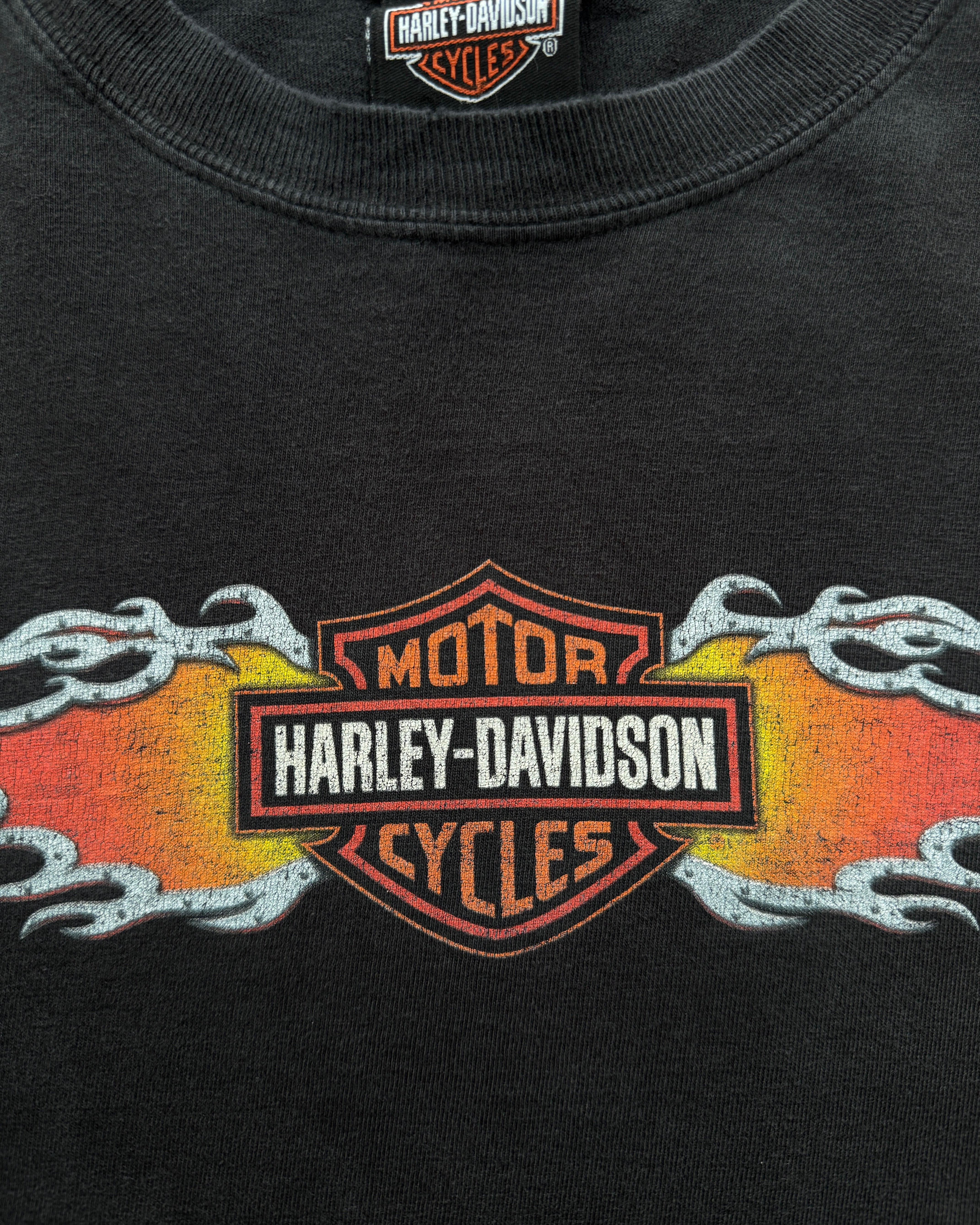 00s Harley Davidson (L)