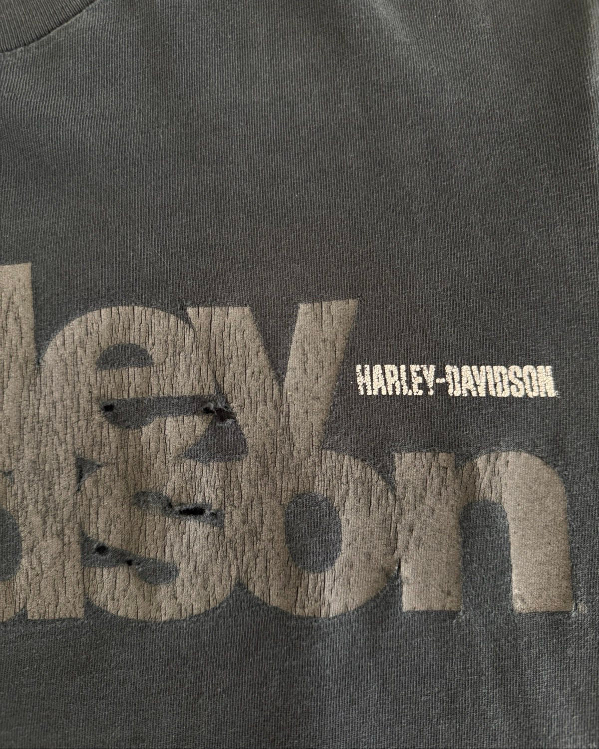 00s Distressed Harley Davidson (M)
