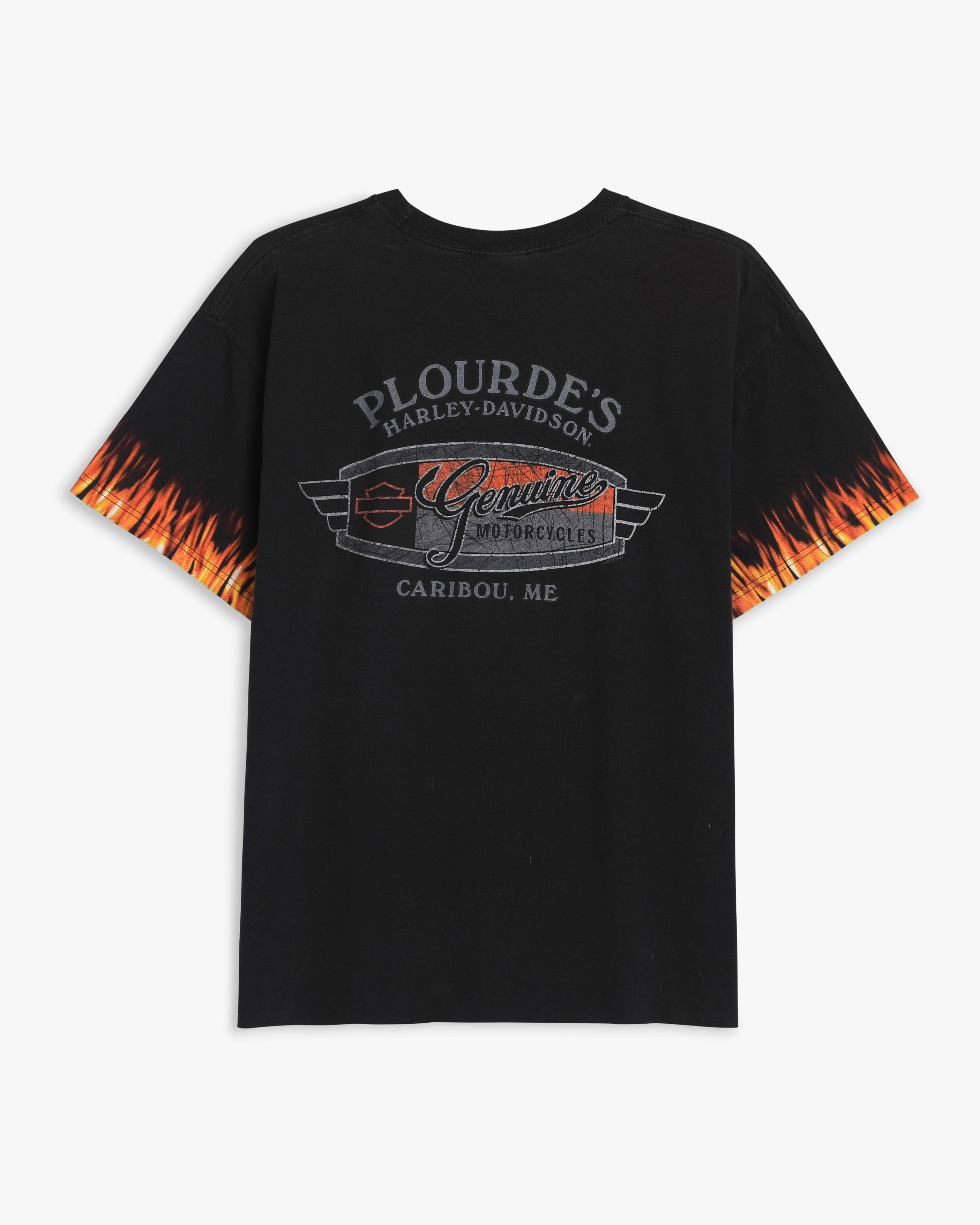00s Harley Davidson (XL)