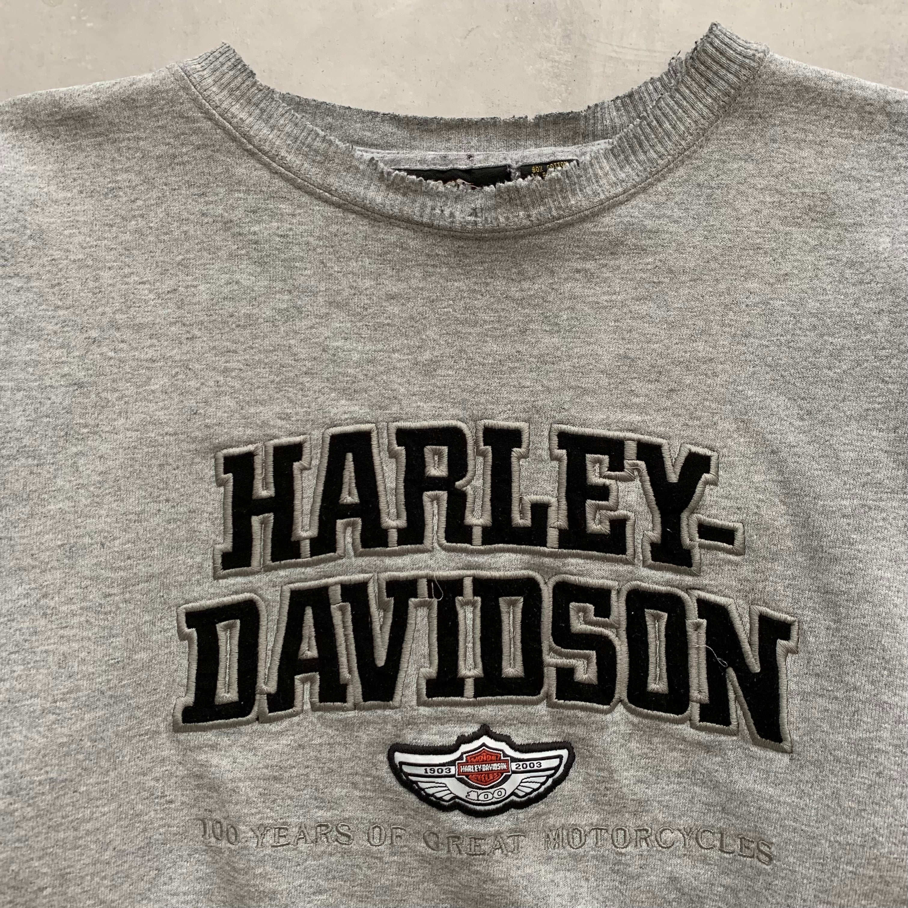 00s Harley Davidson (XL)