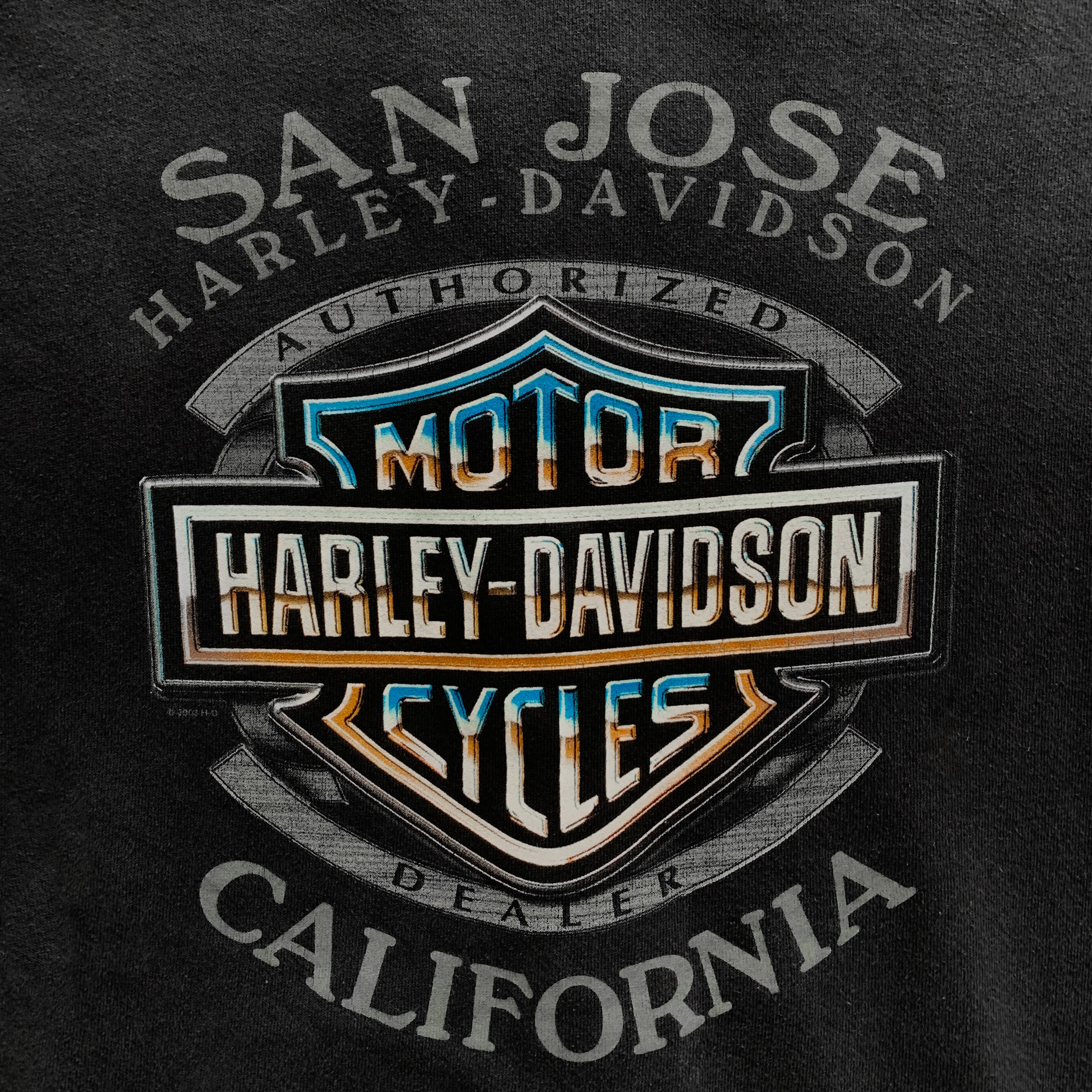 00s Harley Davidson (L)