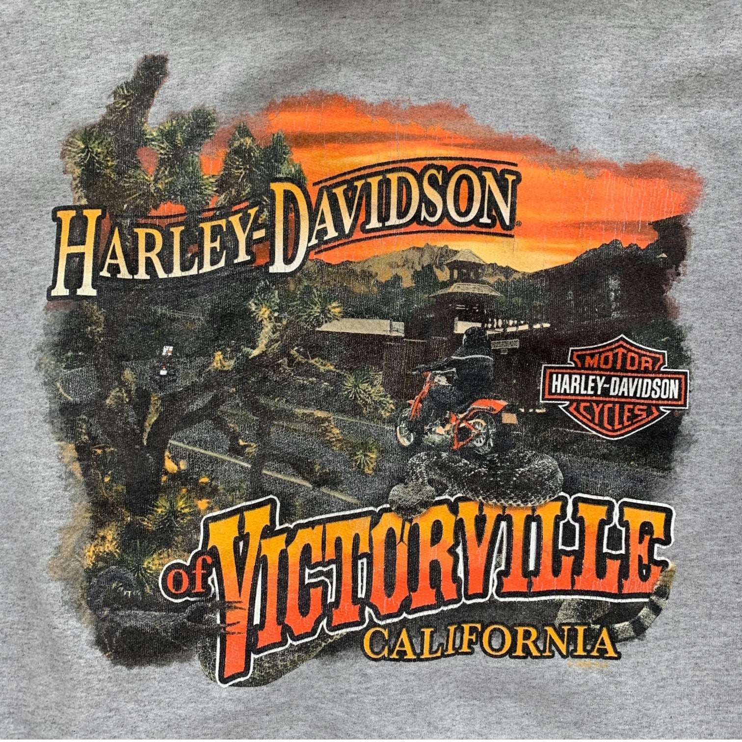 00s Harley Davidson (XL)