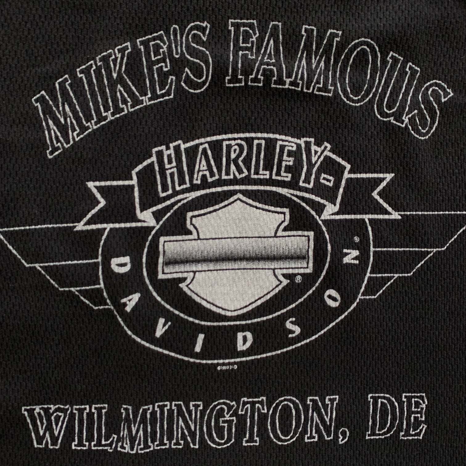 00s Harley Davidson (XL)