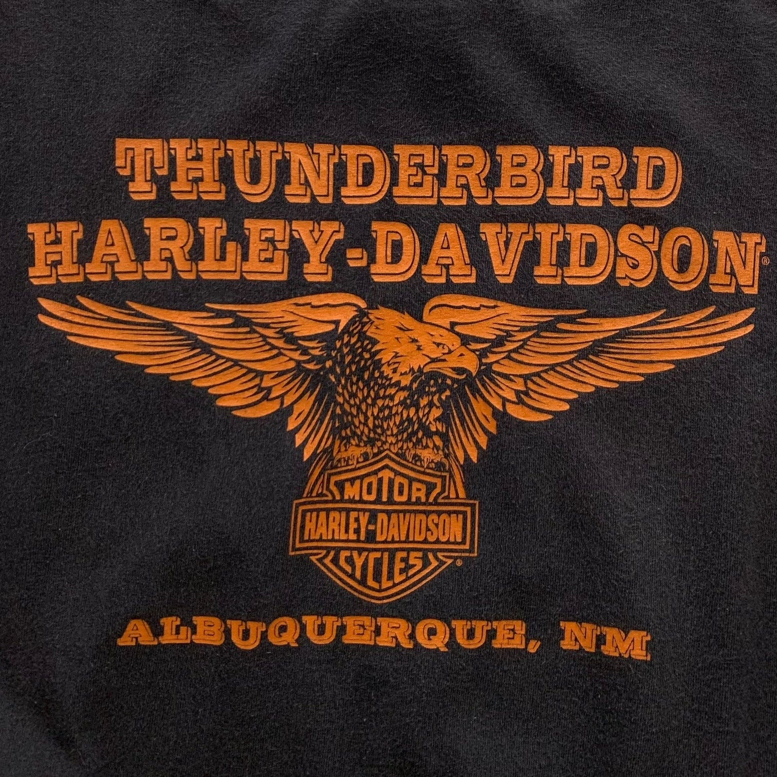 00s Harley Davidson (L)