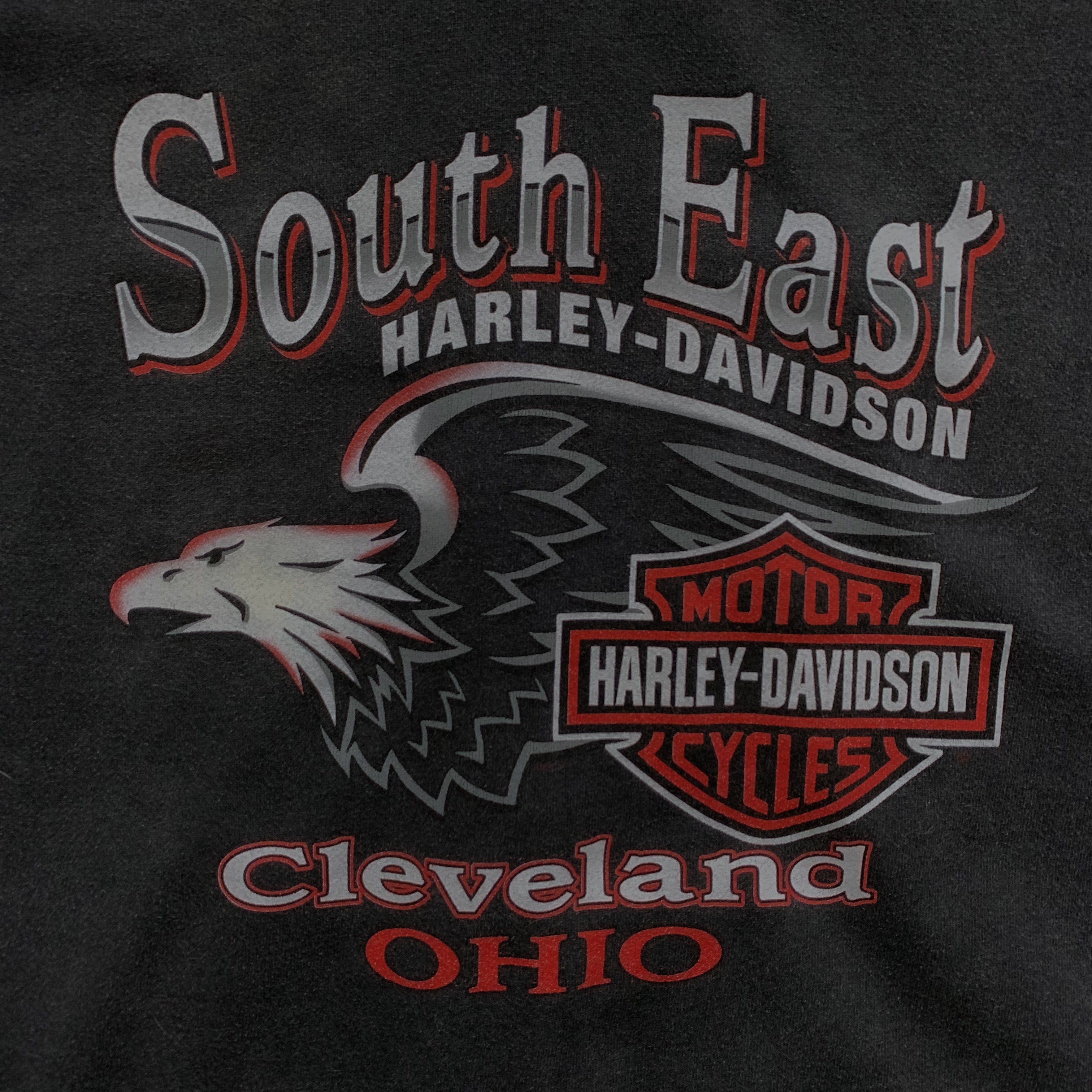 00s Harley Davidson (L)