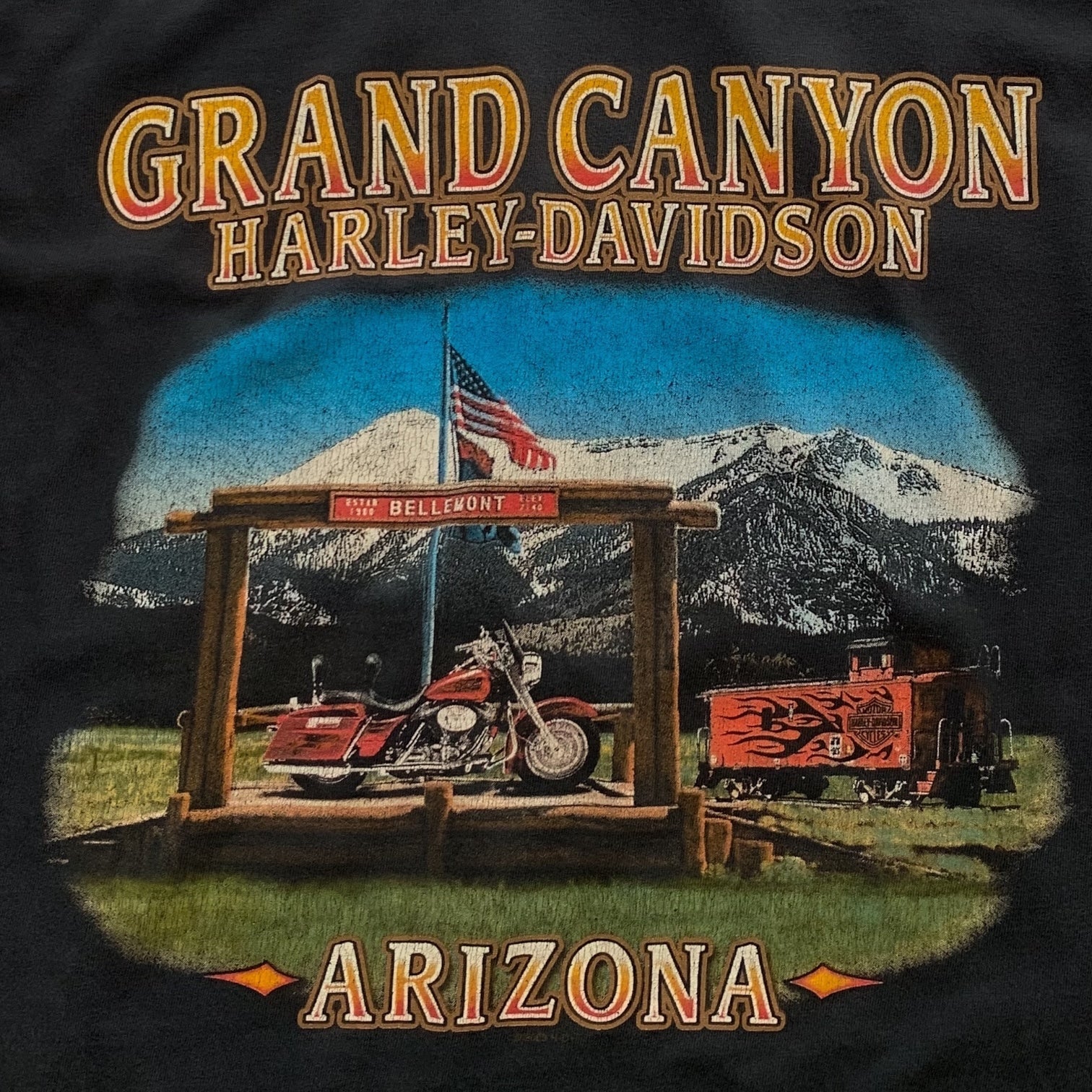 00s Harley Davidson (L/XL)