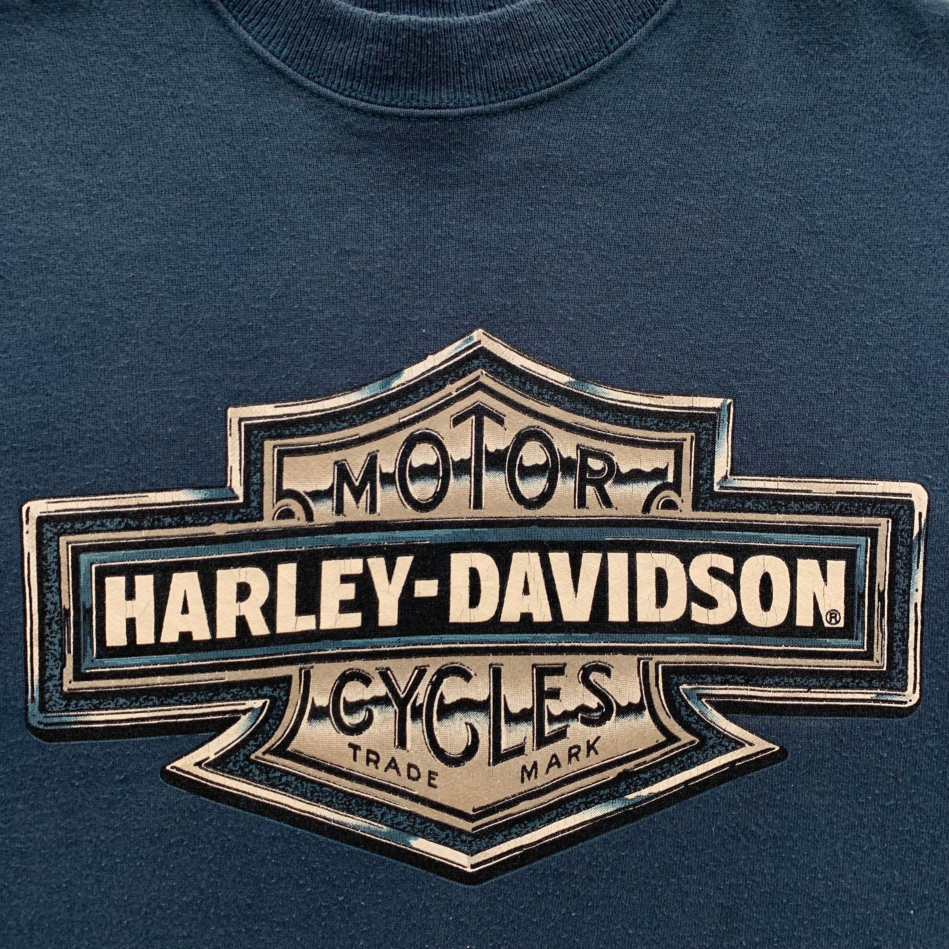 90s Harley Davidson (L)