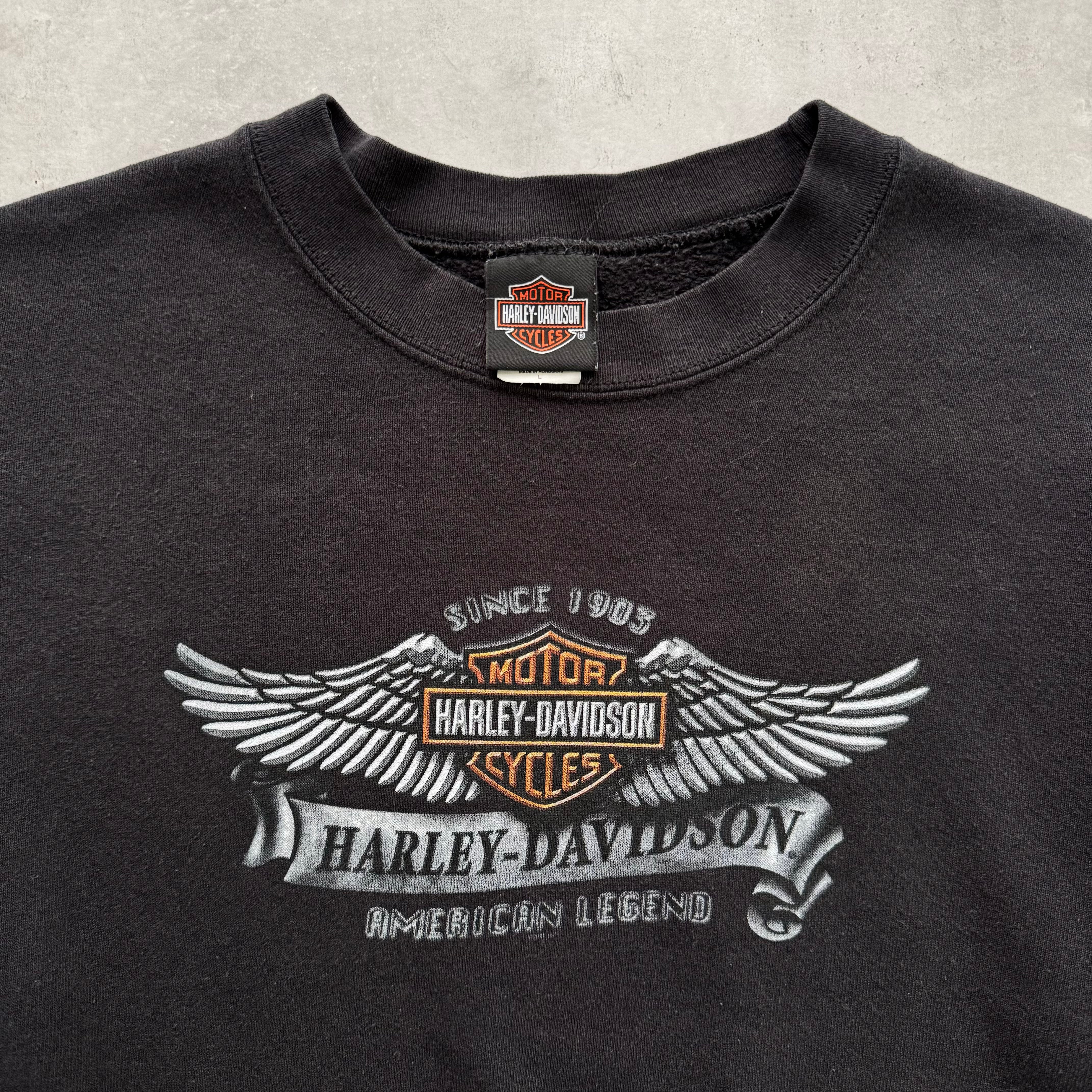 90s Harley Davidson (L)