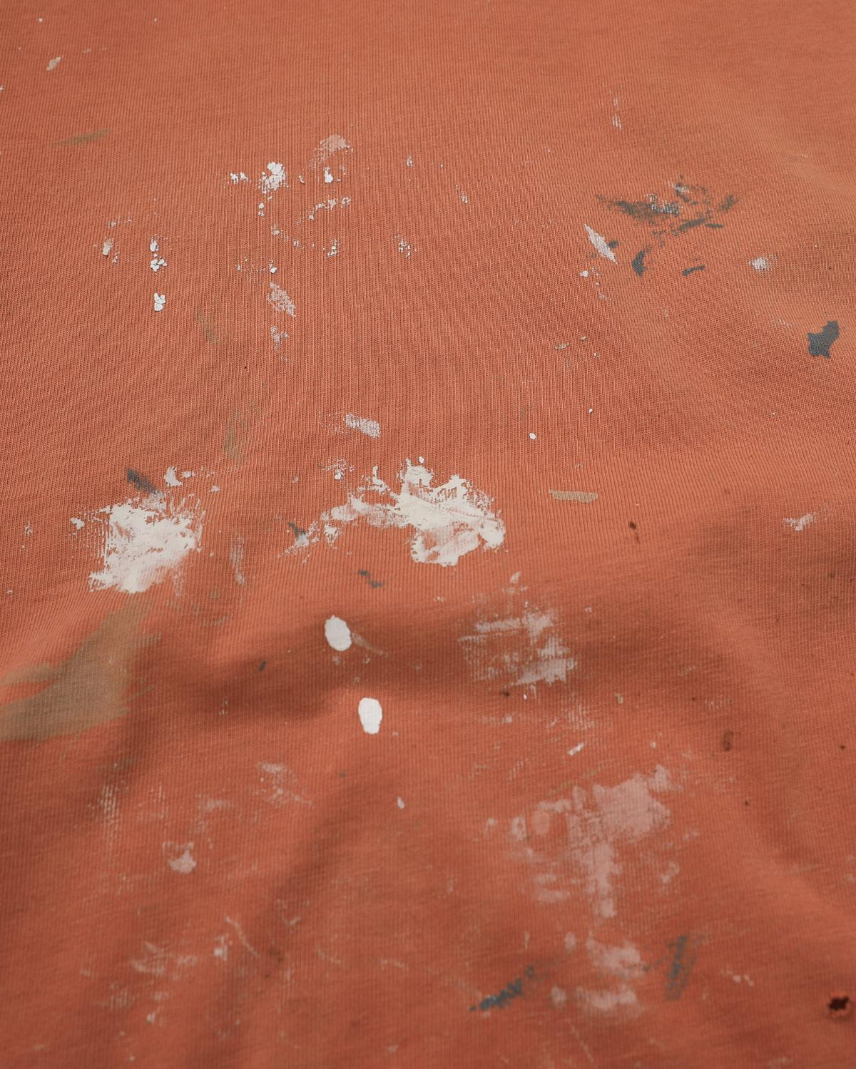 Painters Sun Faded Orange T-Shirt (L)